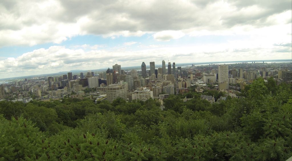 Parc Mont royal