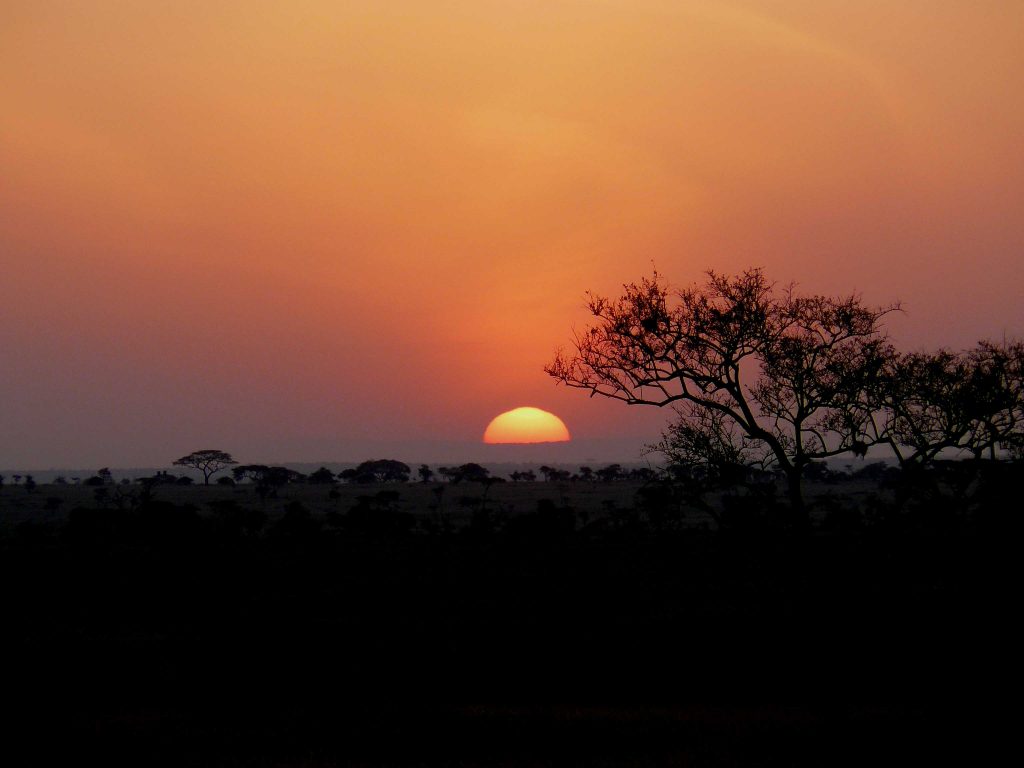 Savane Lever du Soleil