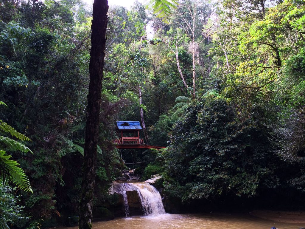 cameron-highlands-montagne