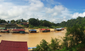 Malaisie : La jungle du Taman Negara