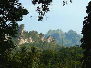 Khao Sok Jungle