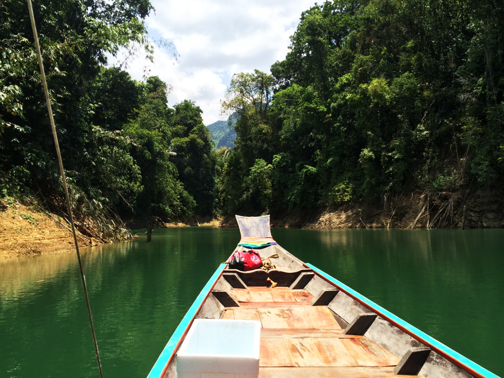 Khao Sok jungle