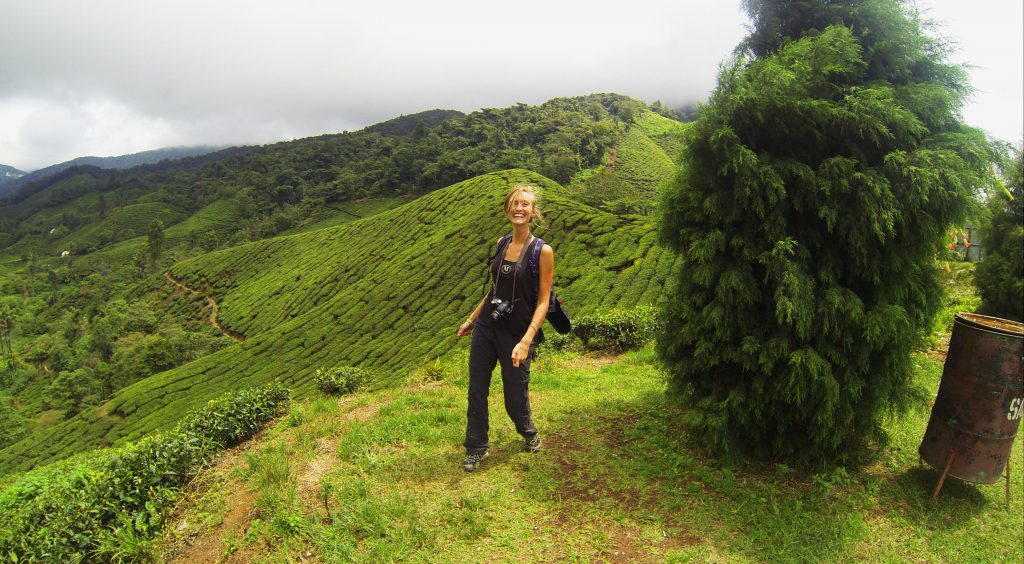 plantation-the-cameron-highlands