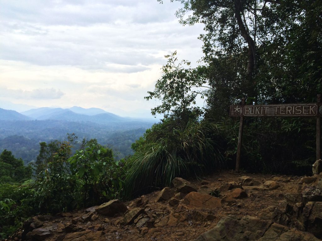 taman-negara-trek