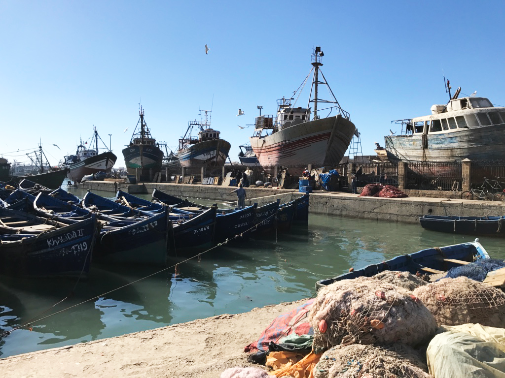 essaouira-port-peche