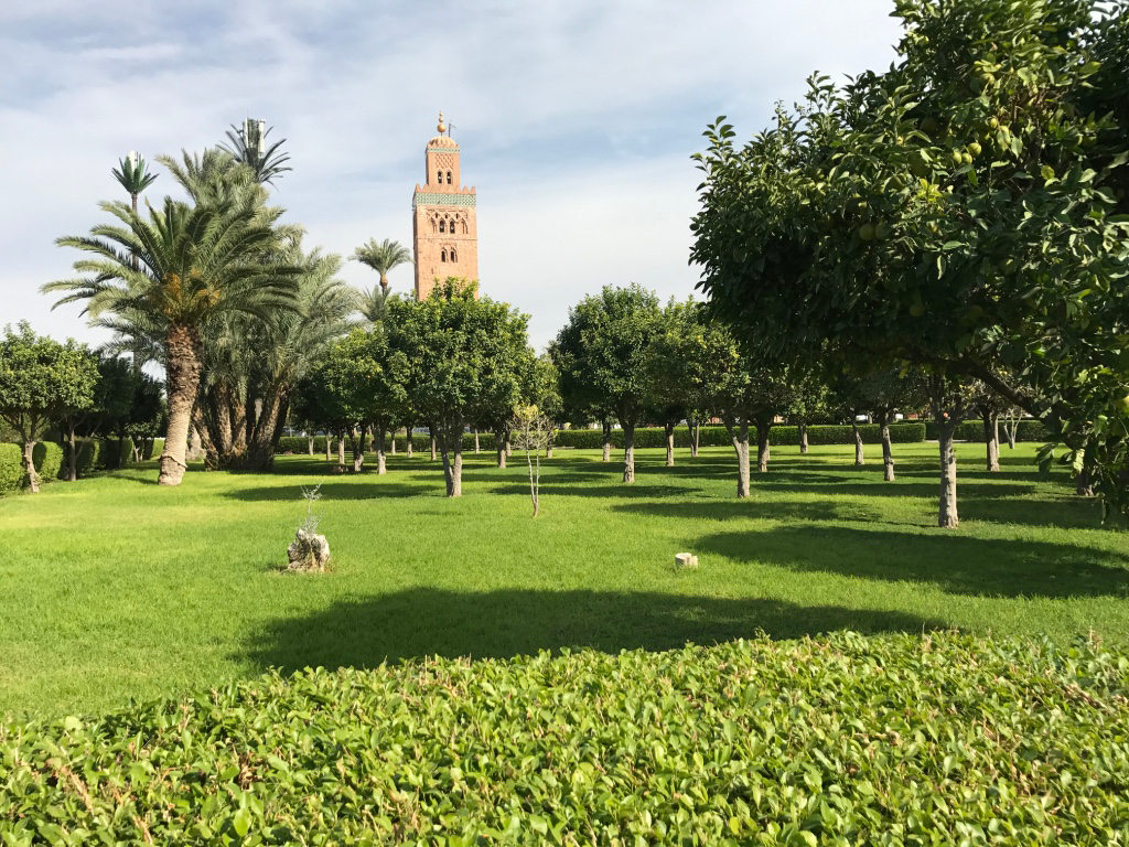 marrakech_koudoubia-jardin