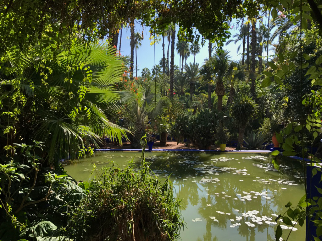 marrakech_jardin-majorelle