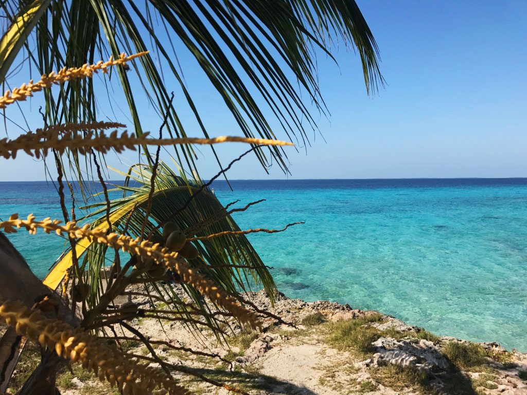 Playa larga snorkelling