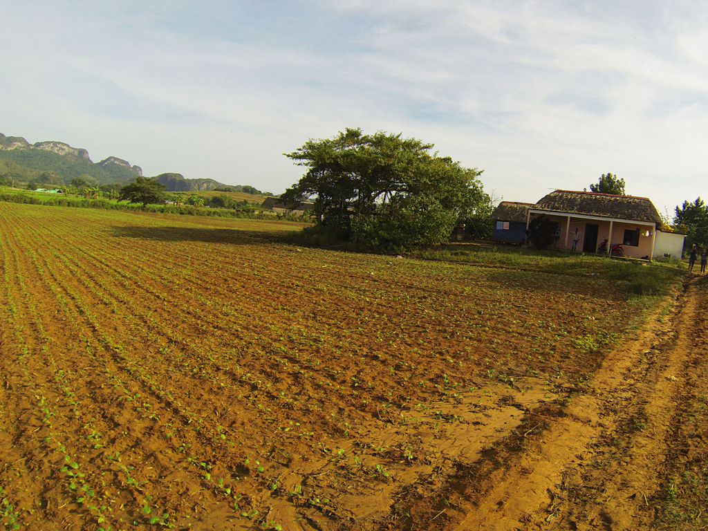 vinales-fabrique-cigare