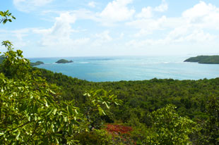 martinique