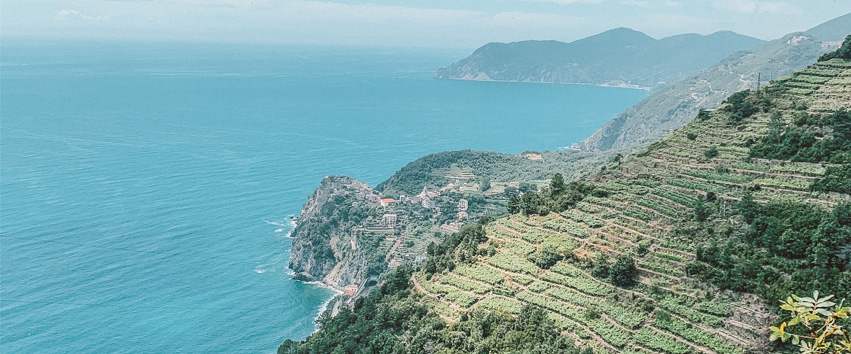 vignes-cinque-terre