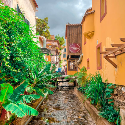 Découverte Funchal Madère