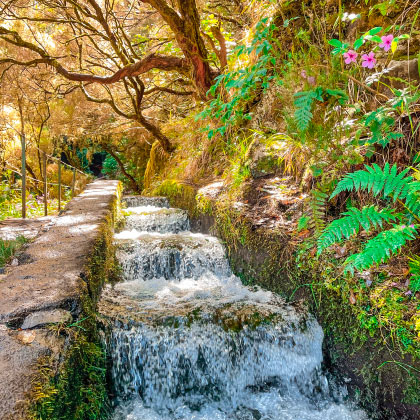 Levada Madère