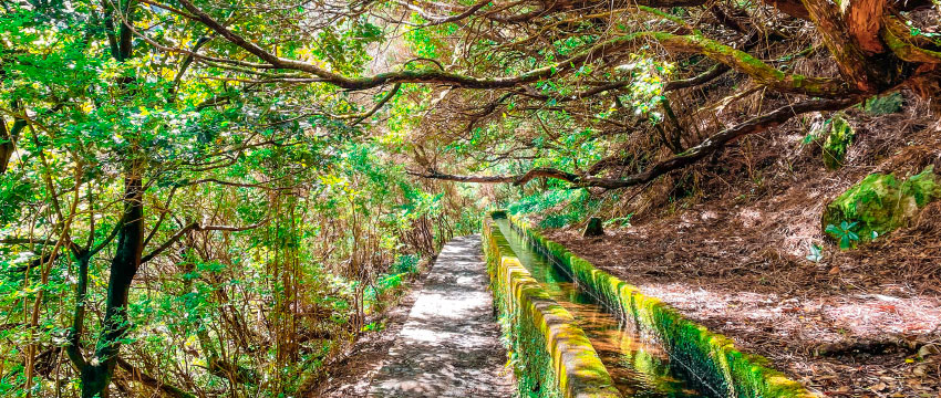 Randonnée Levada Madère