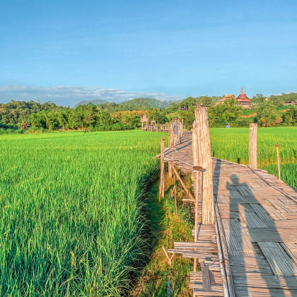 Mae hong son pont bambou