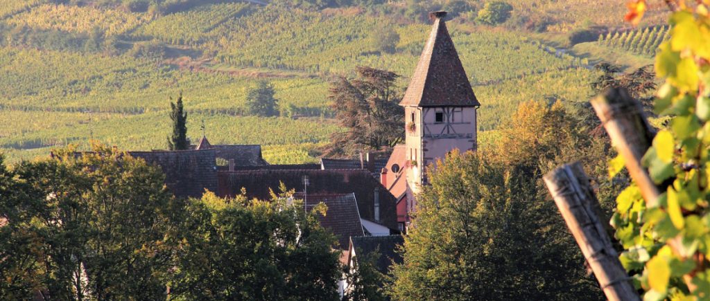Alsace vignoble
