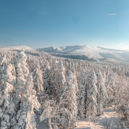 Japon ski Asahidake