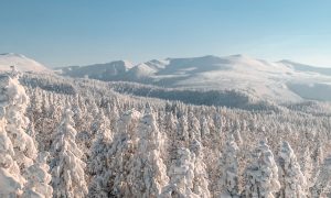 Ski freeride, les stations de ski à Hokkaido au Japon
