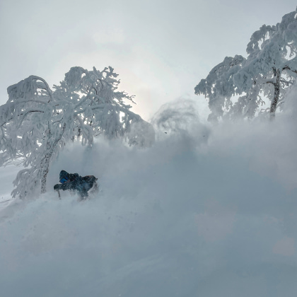 Tomamu station de ski Hokkaido