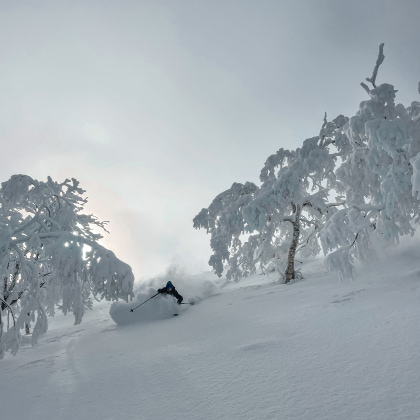 Tomamu Station Ski Hokkaido