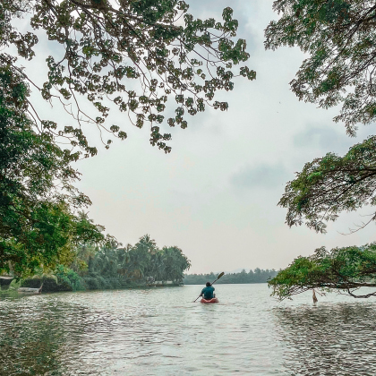 backwaters-inde-kerala