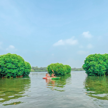 backwaters-kerala