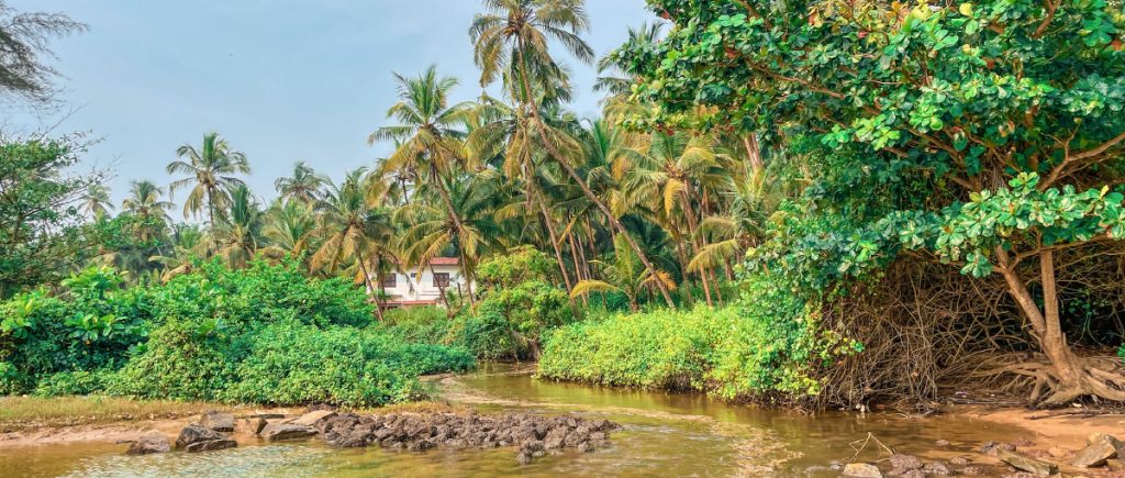 cote-malabar-kerala