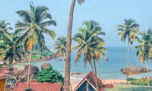 Voyage en Inde du Sud, découverte de Goa