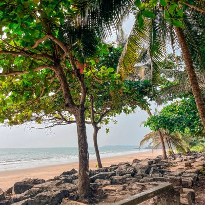 kerala-cote-malabar-plage