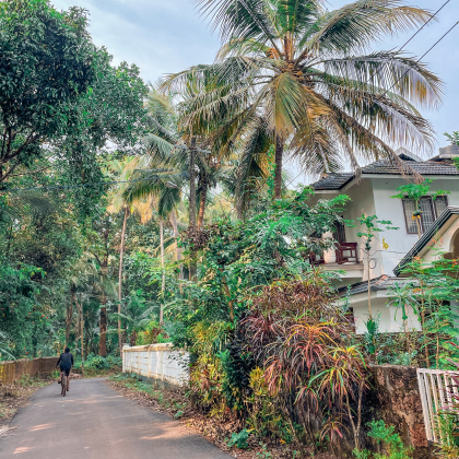 kerala-inde-rue