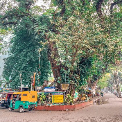 old-kochi-kerala