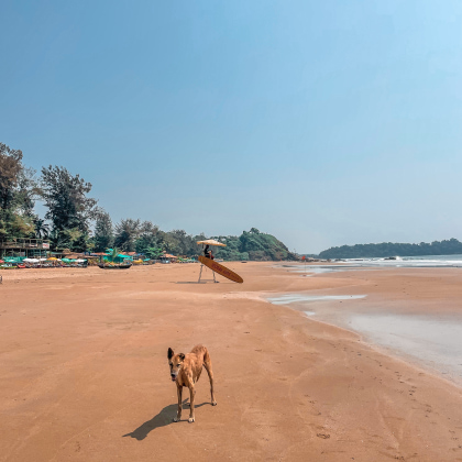 plage-patnem-goa