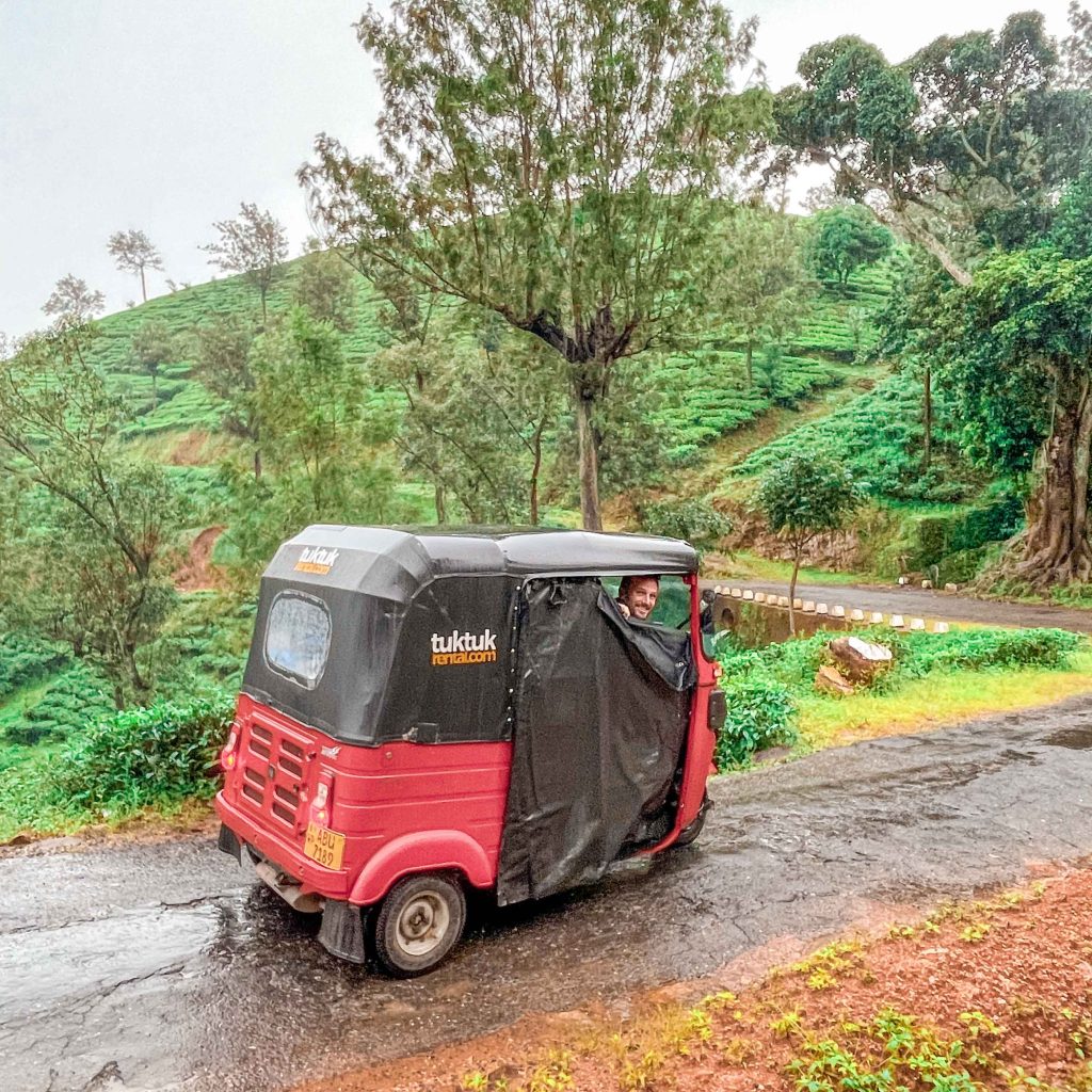 Route plantations de thé Sri Lanka