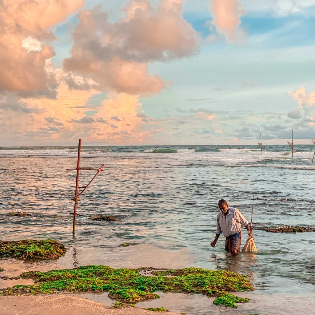 pecheur sri lanka